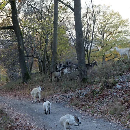Domek alpejski Le Du Menobu *