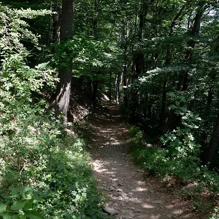 Dağ evi Le Du Menobu *